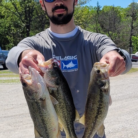 Will Fairnington - Sunday